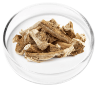 Marshmallow root ingredient in Nervovive